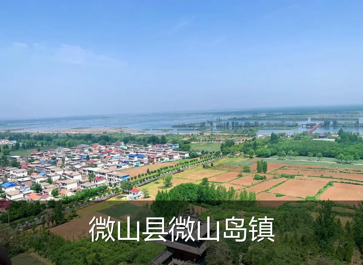 微山县微山岛镇