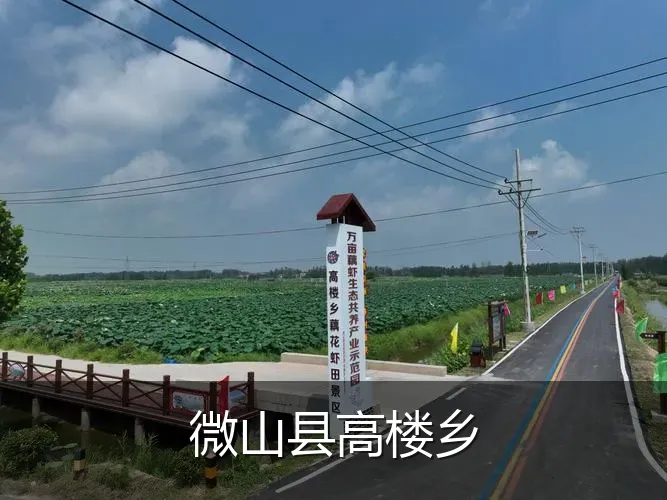 微山县高楼乡